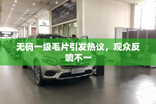无码一级毛片引发热议，观众反响不一