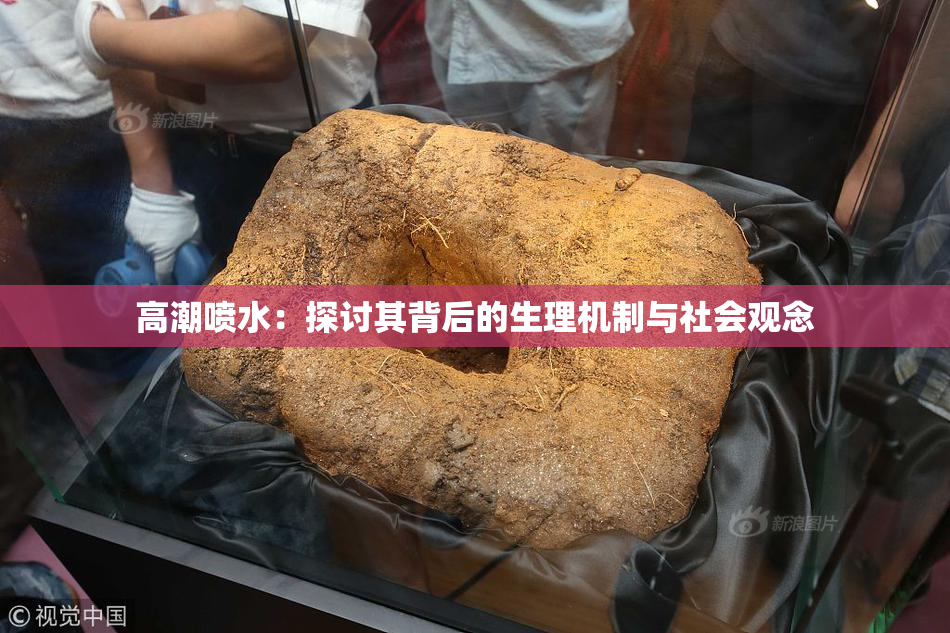 高潮喷水：探讨其背后的生理机制与社会观念