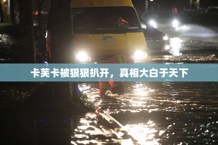 卡芙卡被狠狠扒开，真相大白于天下
