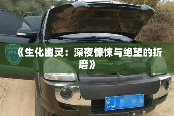 《生化幽灵：深夜惊悚与绝望的折磨》