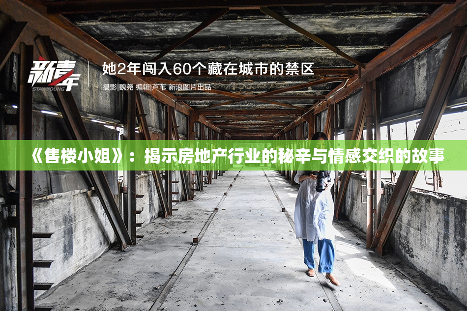 《售楼小姐》：揭示房地产行业的秘辛与情感交织的故事