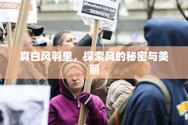 真白风羽里，探索风的秘密与美丽