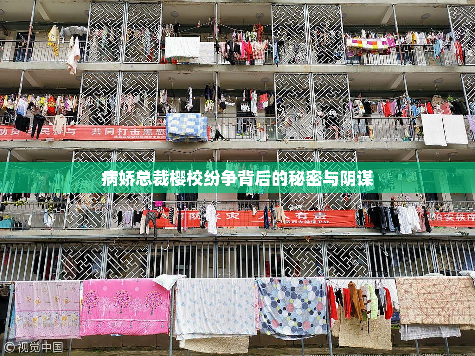 病娇总裁樱校纷争背后的秘密与阴谋