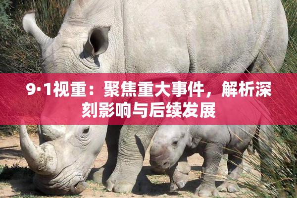9·1视重：聚焦重大事件，解析深刻影响与后续发展