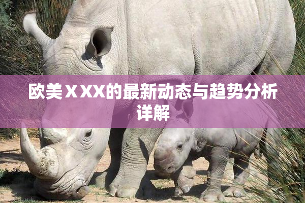 欧美ⅩXX的最新动态与趋势分析详解