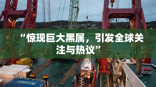 “惊现巨大黑属，引发全球关注与热议”
