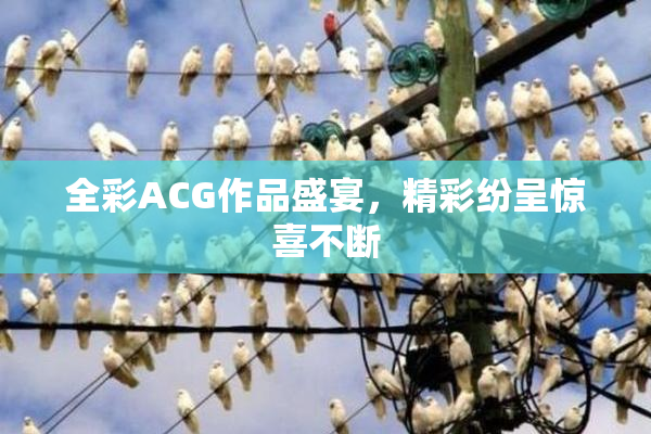 全彩ACG作品盛宴，精彩纷呈惊喜不断
