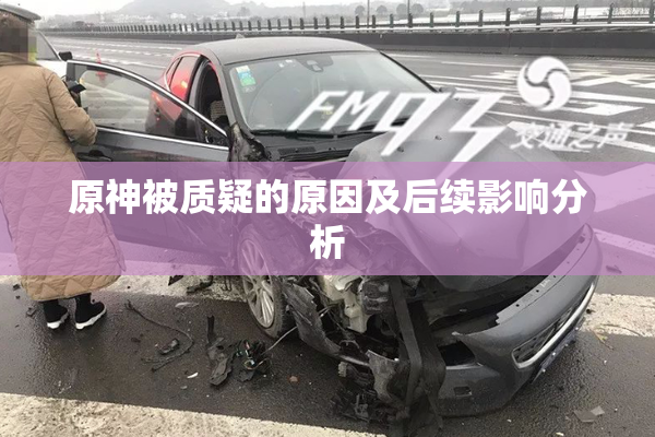 原神被质疑的原因及后续影响分析