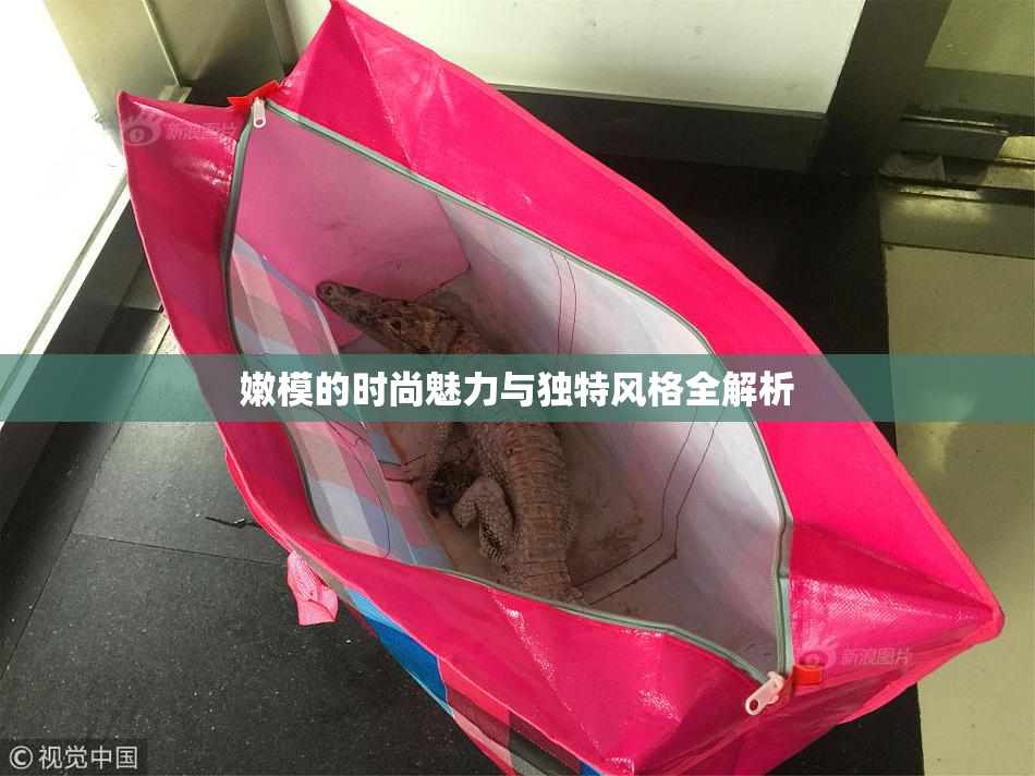 嫩模的时尚魅力与独特风格全解析