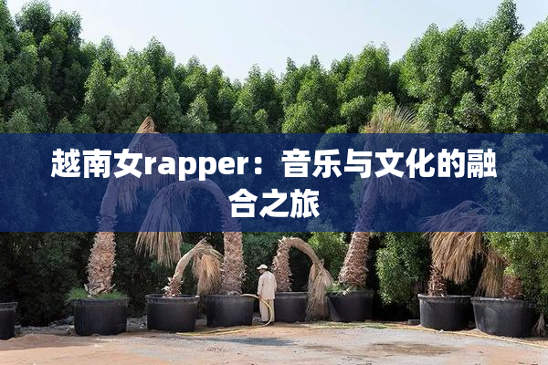 越南女rapper：音乐与文化的融合之旅