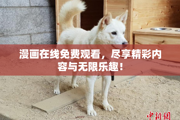 漫画在线免费观看，尽享精彩内容与无限乐趣！