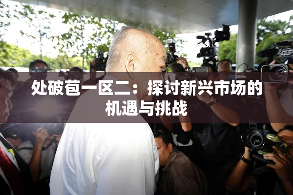 处破苞一区二：探讨新兴市场的机遇与挑战