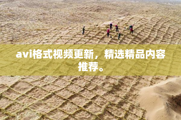 avi格式视频更新，精选精品内容推荐。