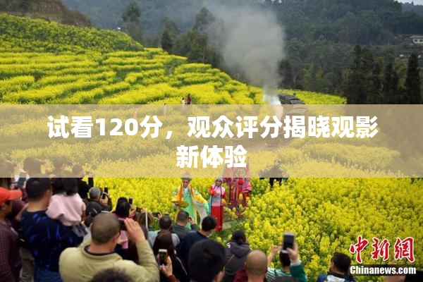 试看120分，观众评分揭晓观影新体验