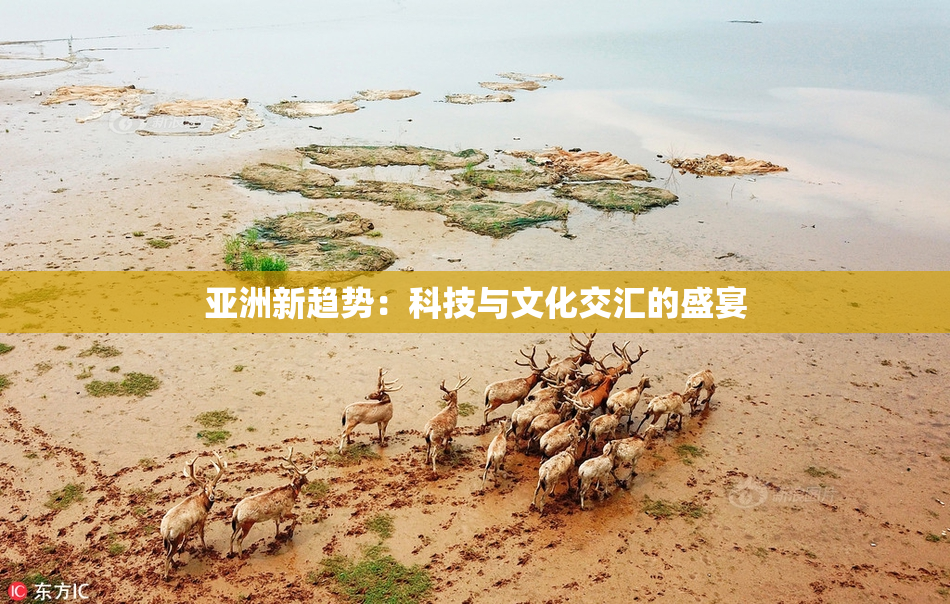 亚洲新趋势：科技与文化交汇的盛宴