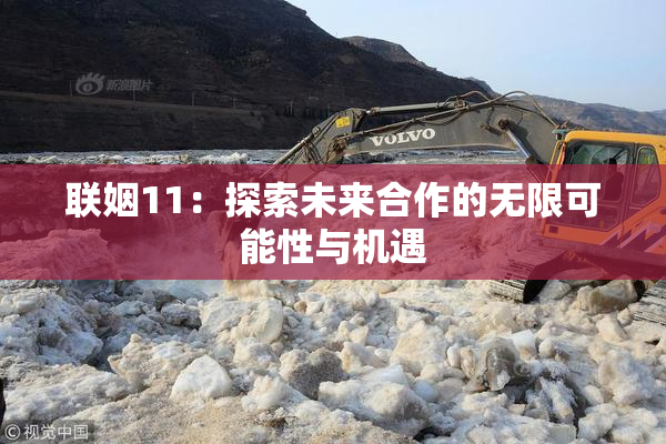 联姻11：探索未来合作的无限可能性与机遇