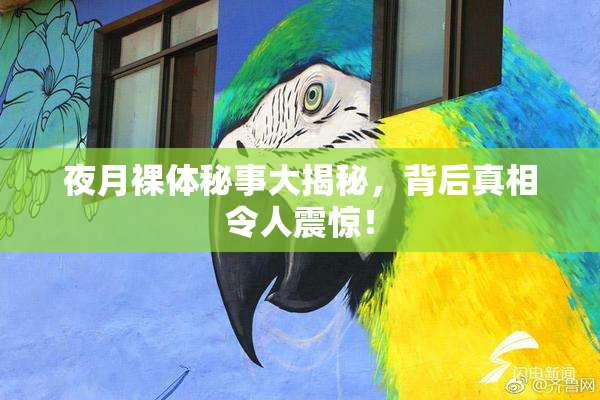 夜月裸体秘事大揭秘，背后真相令人震惊！