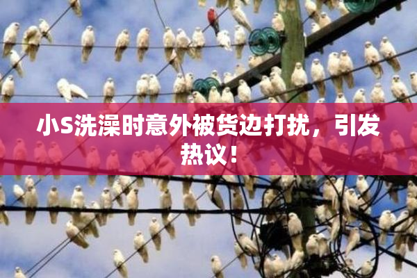 小S洗澡时意外被货边打扰，引发热议！