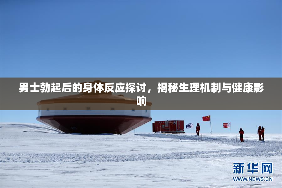 男士勃起后的身体反应探讨，揭秘生理机制与健康影响