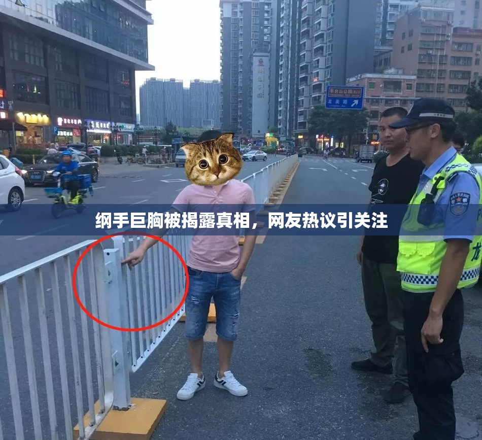 纲手巨胸被揭露真相，网友热议引关注
