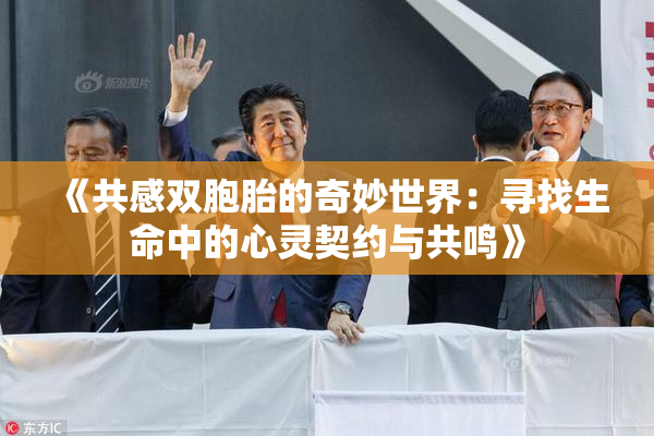 《共感双胞胎的奇妙世界：寻找生命中的心灵契约与共鸣》