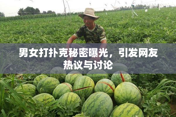 男女打扑克秘密曝光，引发网友热议与讨论