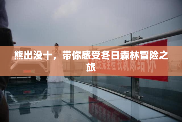 熊出没十，带你感受冬日森林冒险之旅