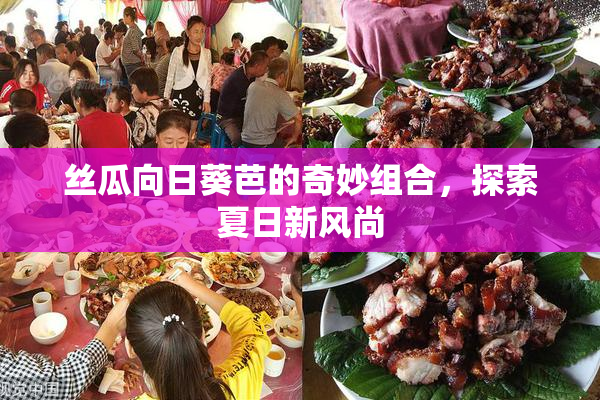 丝瓜向日葵芭的奇妙组合，探索夏日新风尚