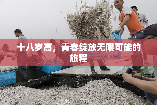 十八岁高，青春绽放无限可能的旅程