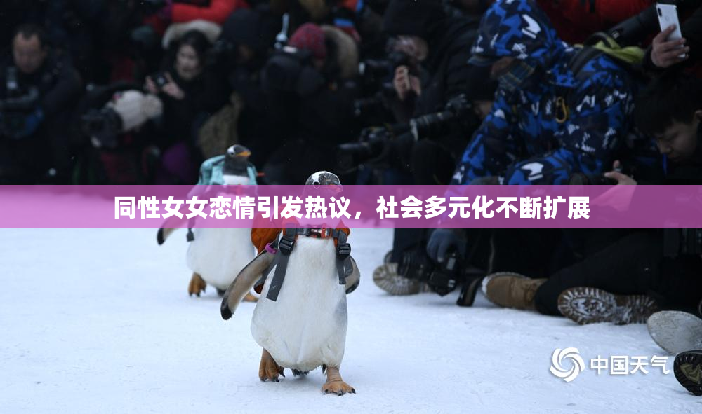 同性女女恋情引发热议，社会多元化不断扩展
