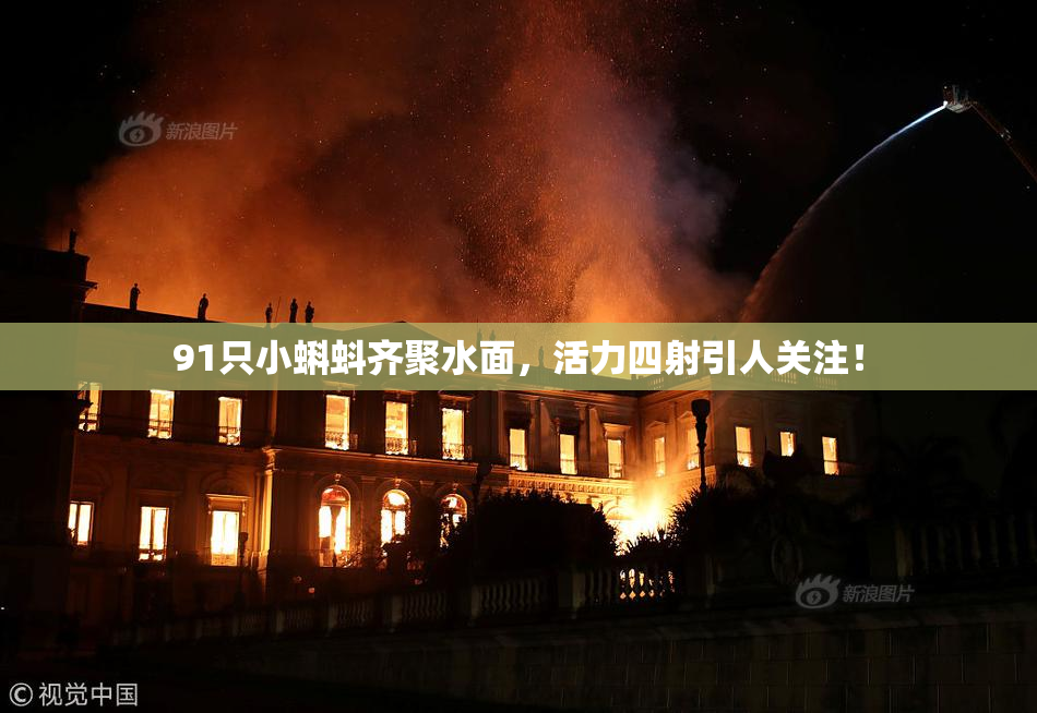 91只小蝌蚪齐聚水面，活力四射引人关注！