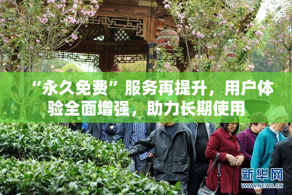 “永久免费”服务再提升，用户体验全面增强，助力长期使用