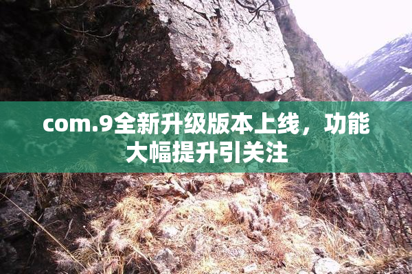 com.9全新升级版本上线，功能大幅提升引关注