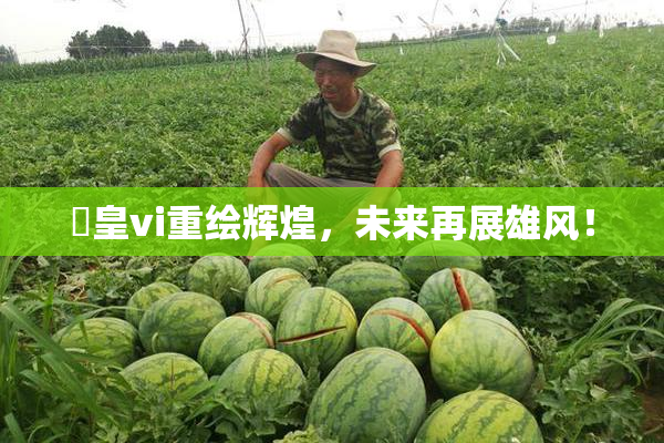 嘼皇vi重绘辉煌，未来再展雄风！