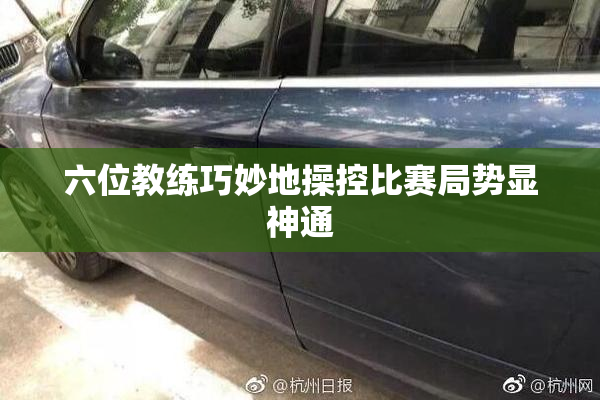 六位教练巧妙地操控比赛局势显神通