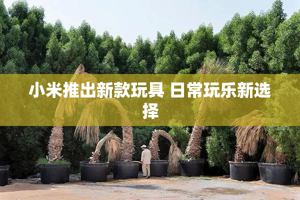 小米推出新款玩具 日常玩乐新选择