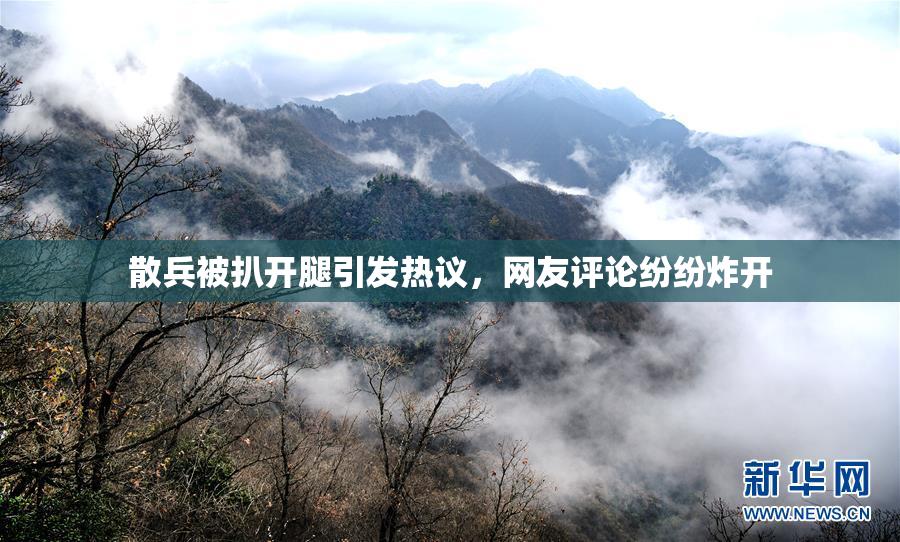 散兵被扒开腿引发热议，网友评论纷纷炸开