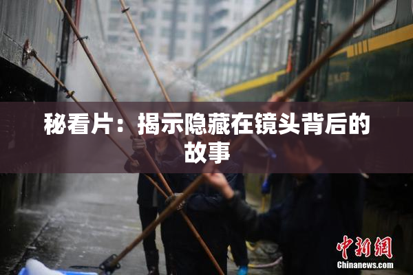 秘看片：揭示隐藏在镜头背后的故事