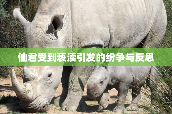 仙君受到亵渎引发的纷争与反思