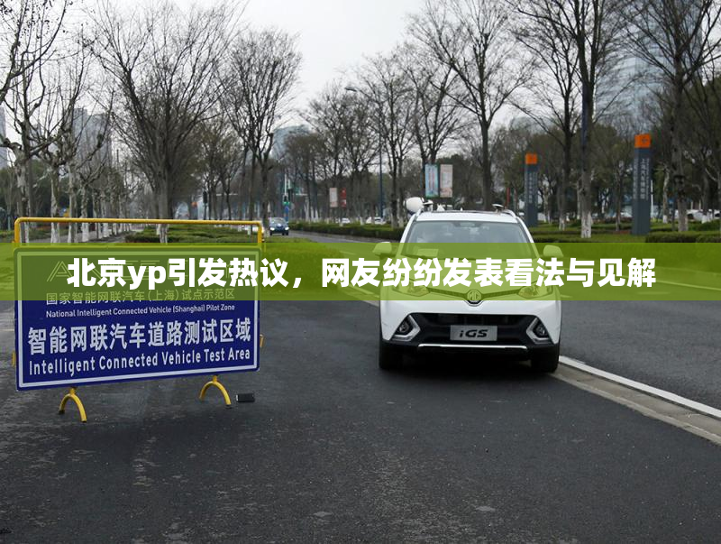 北京yp引发热议，网友纷纷发表看法与见解
