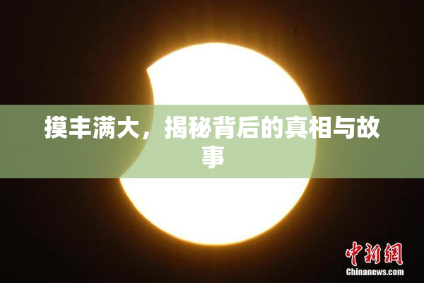 摸丰满大，揭秘背后的真相与故事