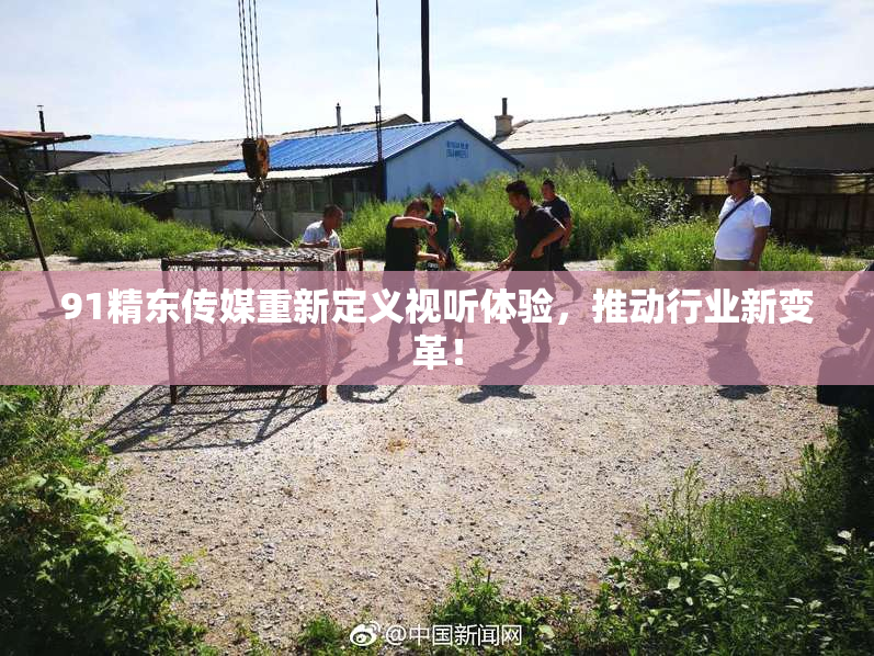 91精东传媒重新定义视听体验，推动行业新变革！