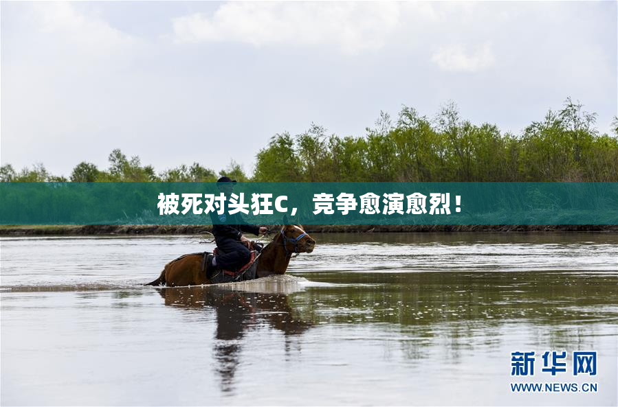 被死对头狂C，竞争愈演愈烈！