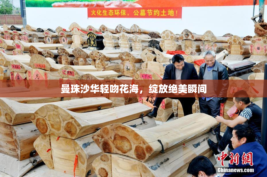 曼珠沙华轻吻花海，绽放绝美瞬间