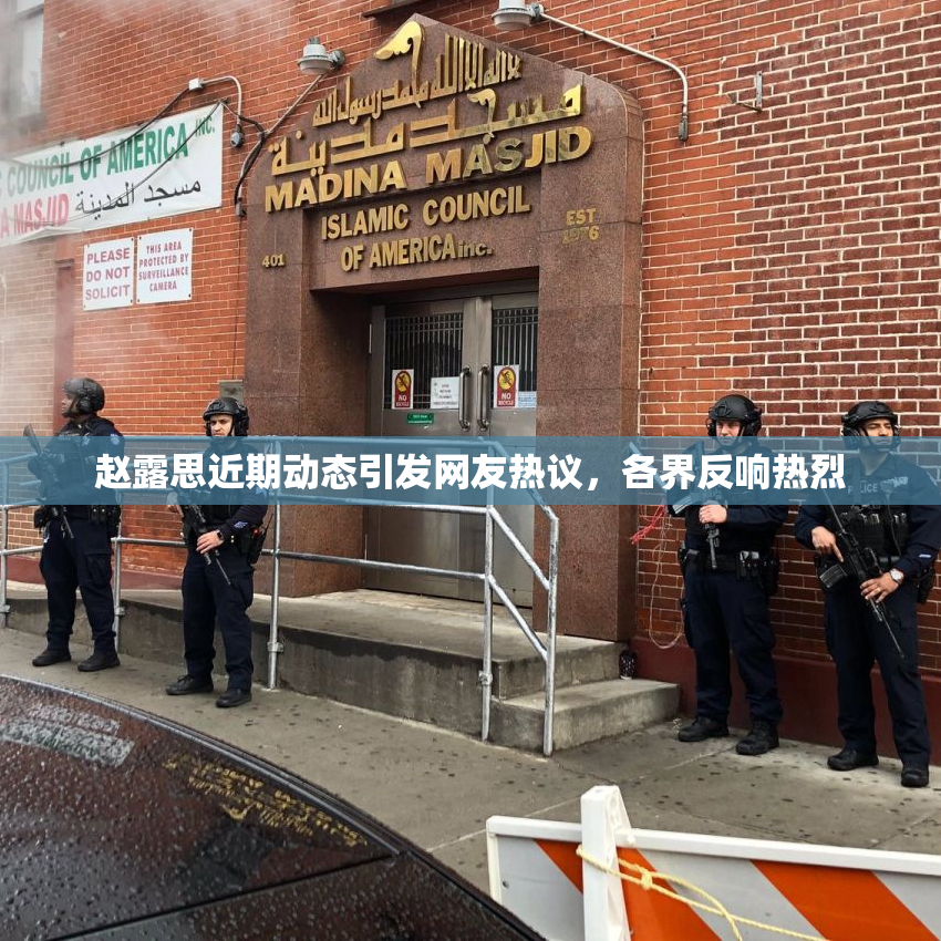 赵露思近期动态引发网友热议，各界反响热烈