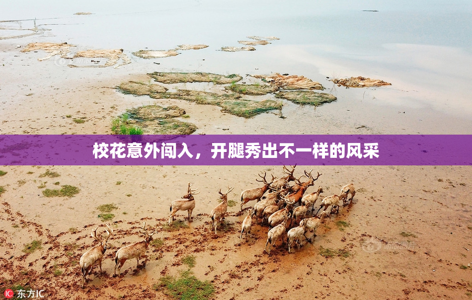 校花意外闯入，开腿秀出不一样的风采