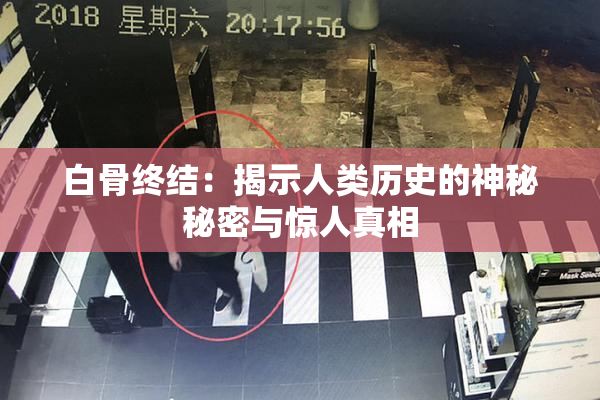白骨终结：揭示人类历史的神秘秘密与惊人真相