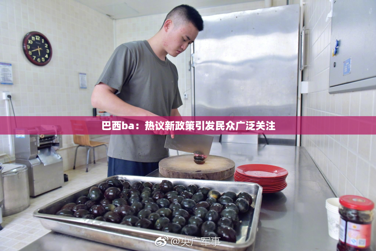 巴西ba：热议新政策引发民众广泛关注