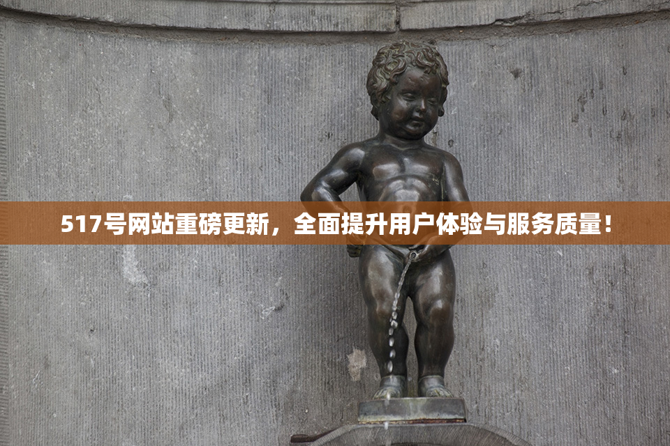 517号网站重磅更新，全面提升用户体验与服务质量！
