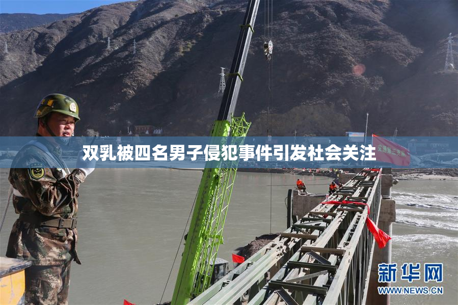 双乳被四名男子侵犯事件引发社会关注